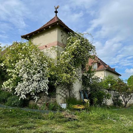 La Maison Du Parc Saint-Raphael  Luaran gambar