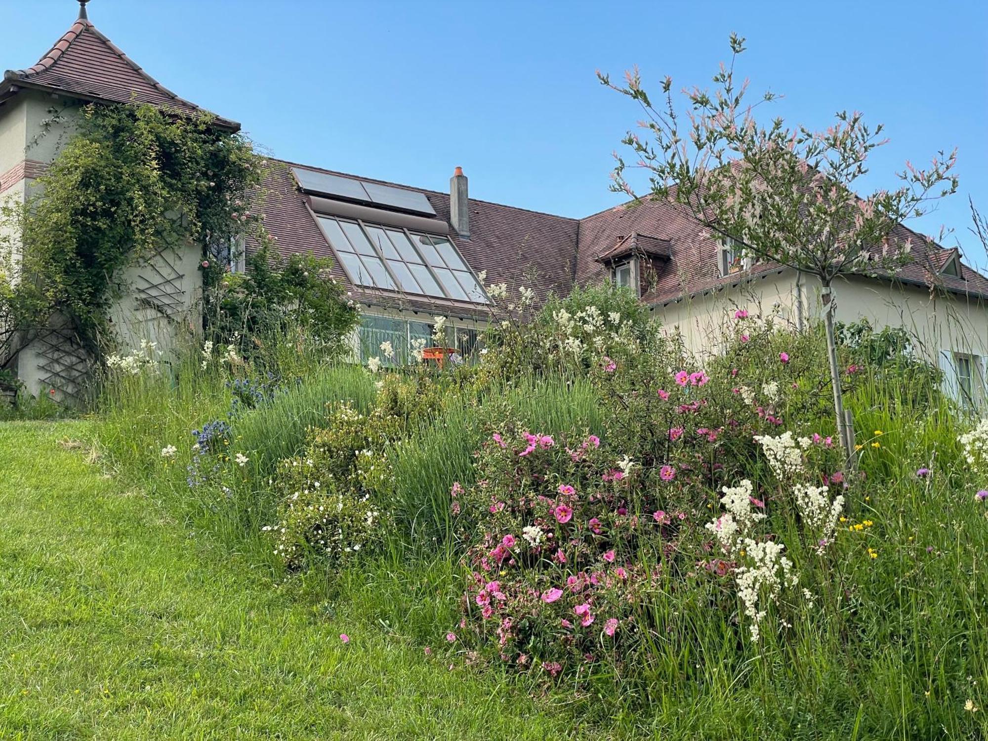 La Maison Du Parc Saint-Raphael  Luaran gambar